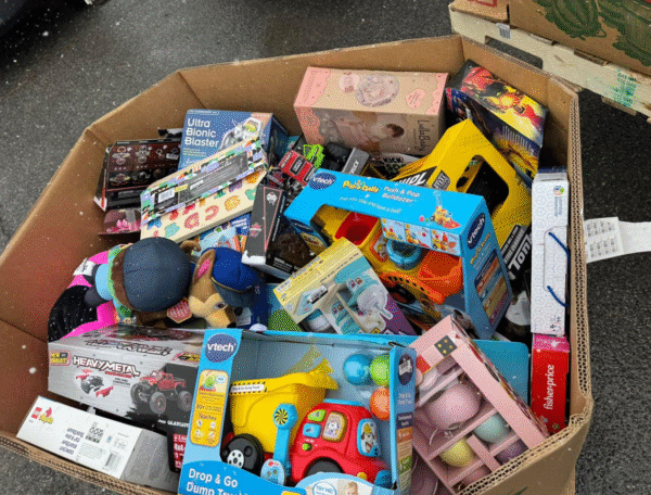Toys Liquidation Pallets - Image 4